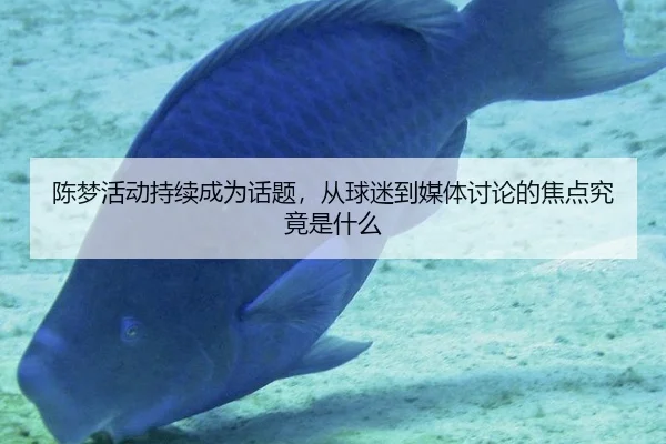 陈梦活动持续成为话题，从球迷到媒体讨论的焦点究竟是什么